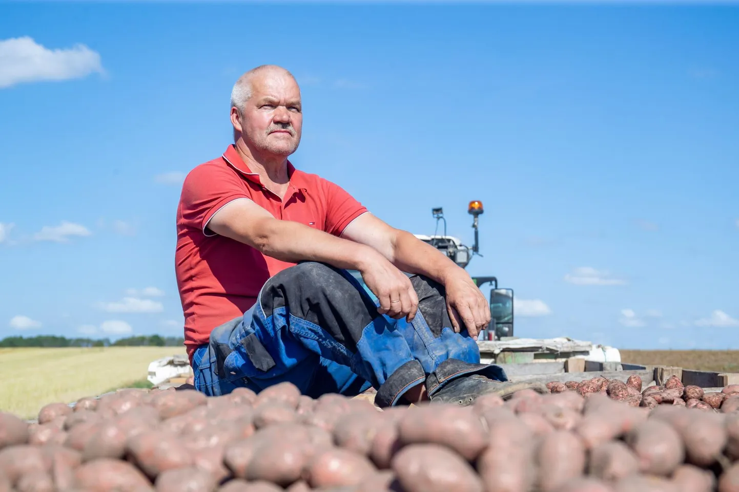 Kartulikasvataja Gustav Põldmaa valiti aastal 2019 aasta rahvapõllumeheks.