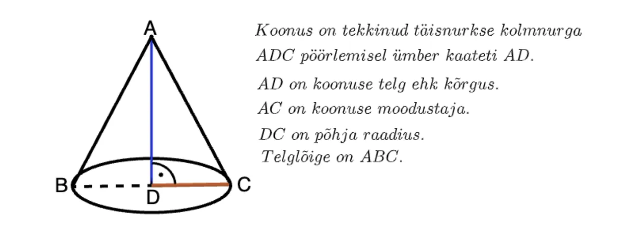 Mis on koonus?