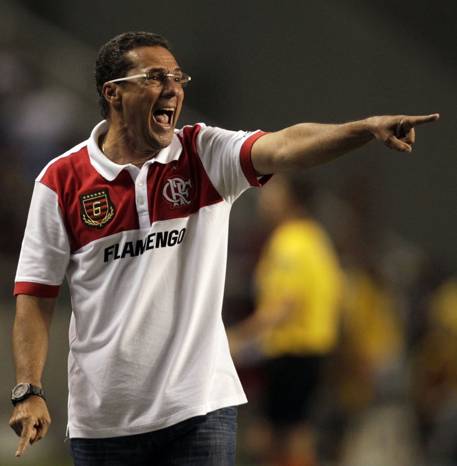 Vanderlei Luxemburgo