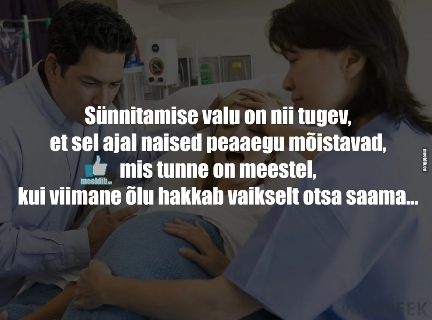 Artikli foto