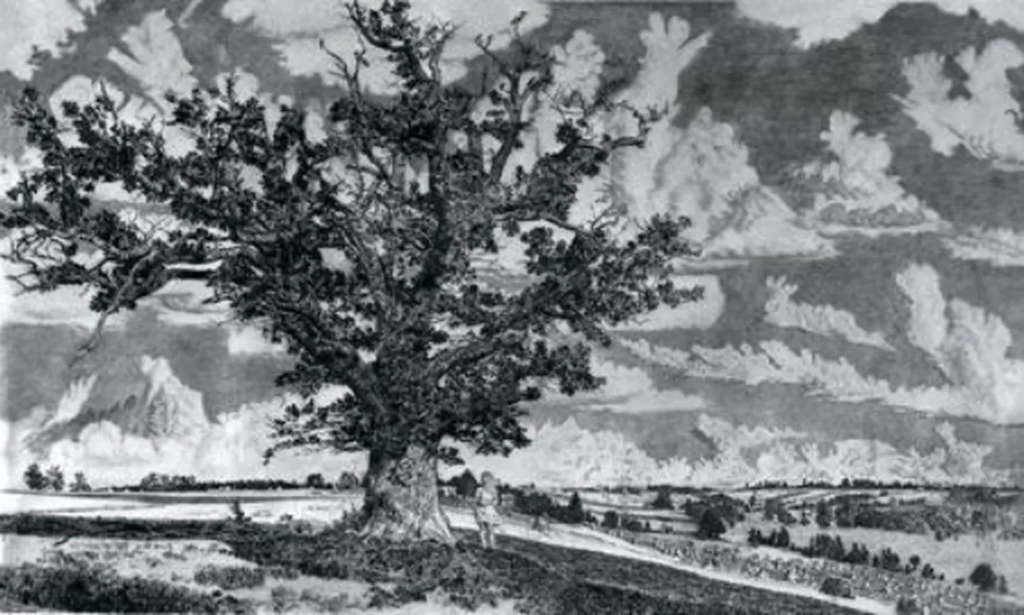 Eduard Wiiralti «Viljandi maastik».