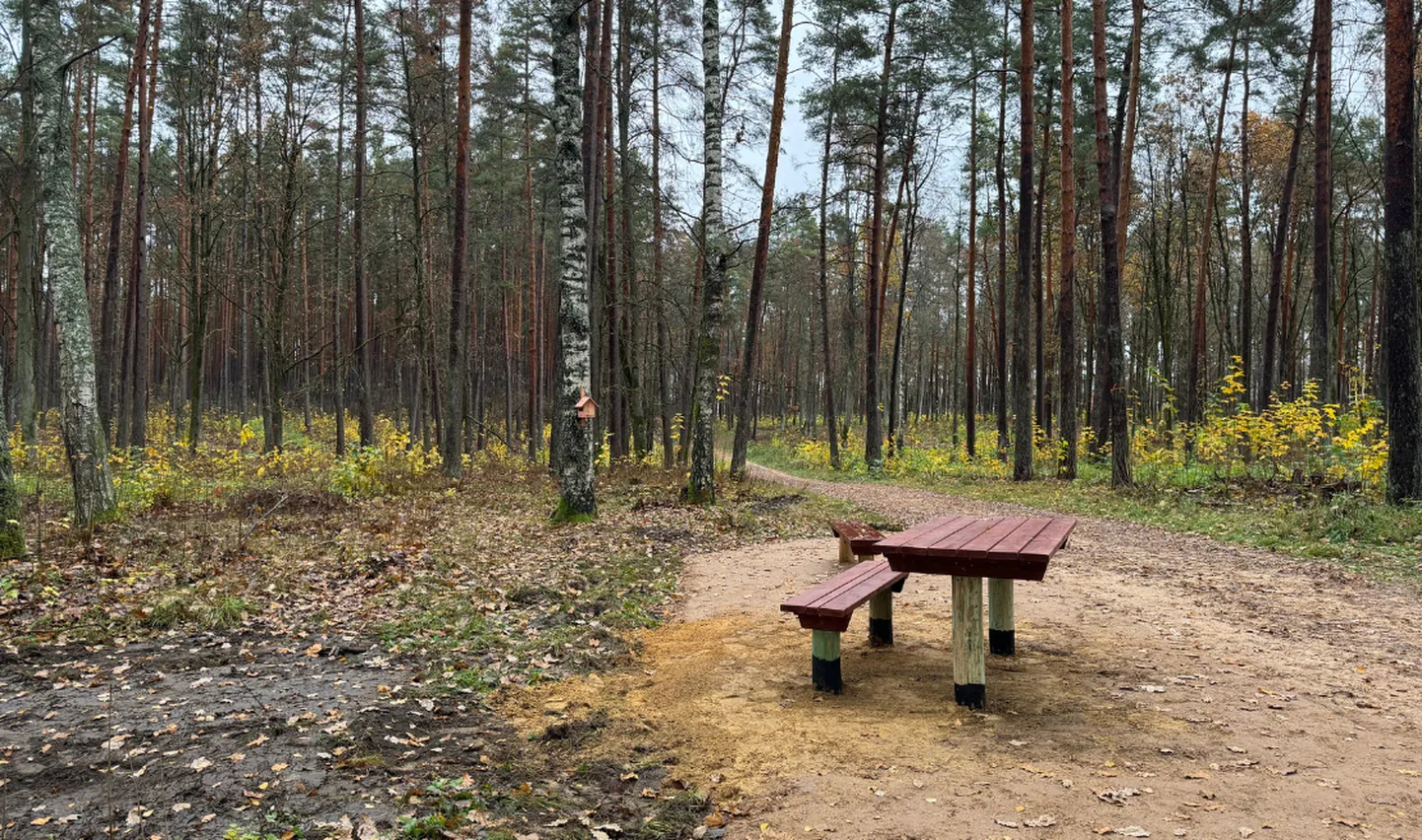 Raksta foto
