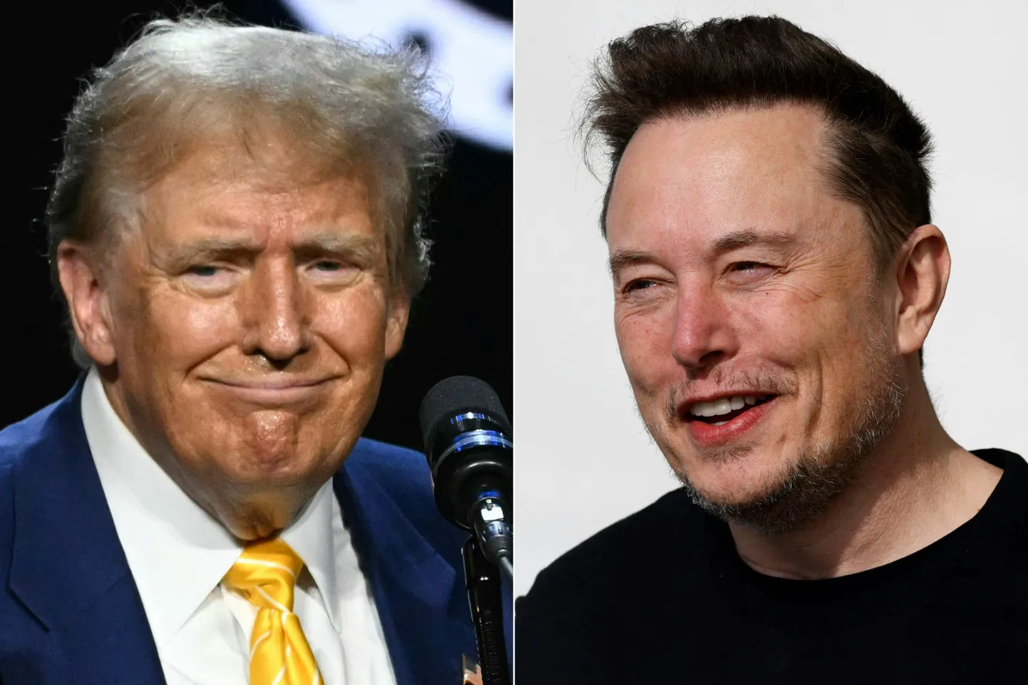 Donald Trump ja Elon Musk.