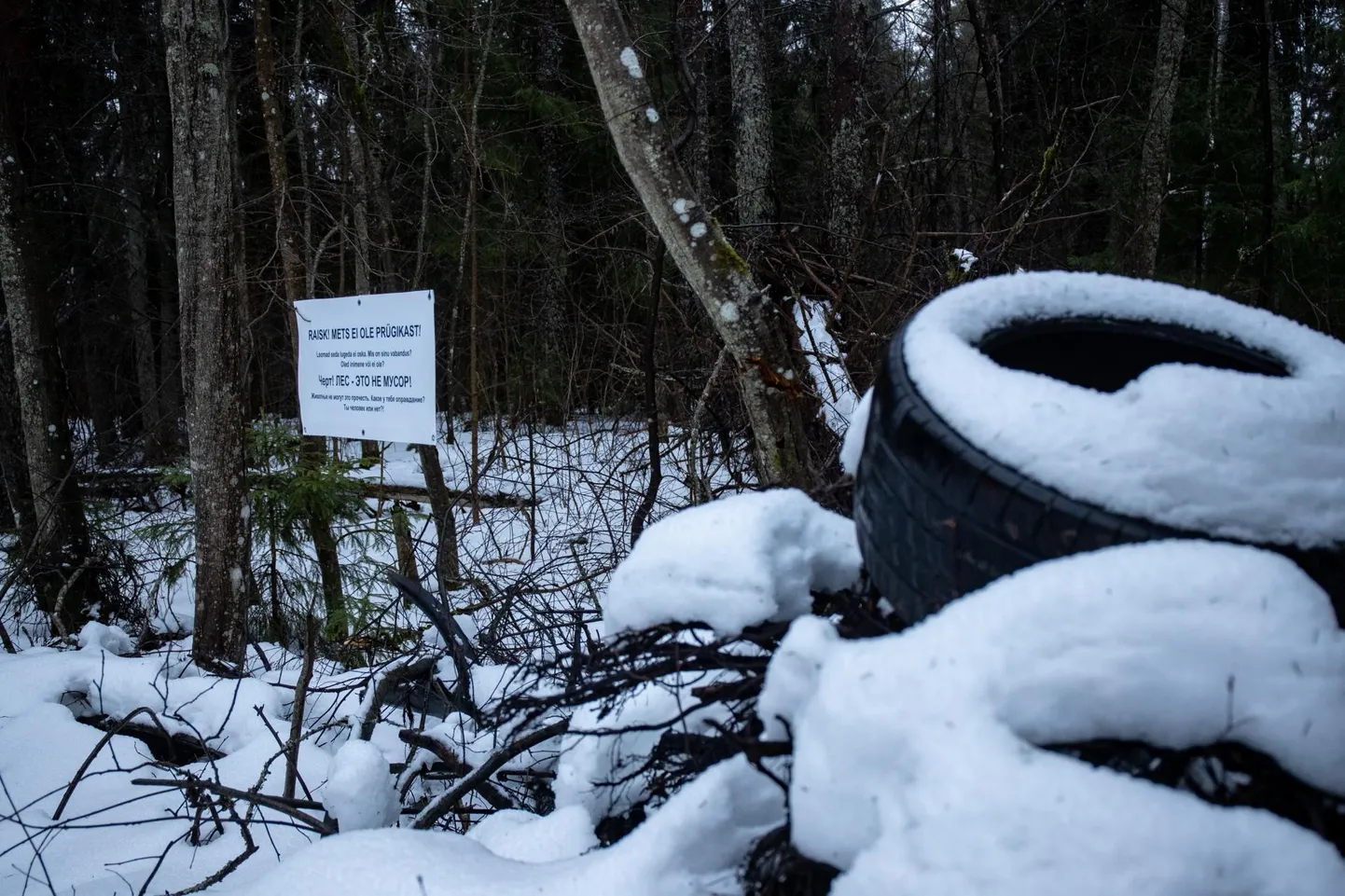 Kavandatav Sõrve looduskaitseala.