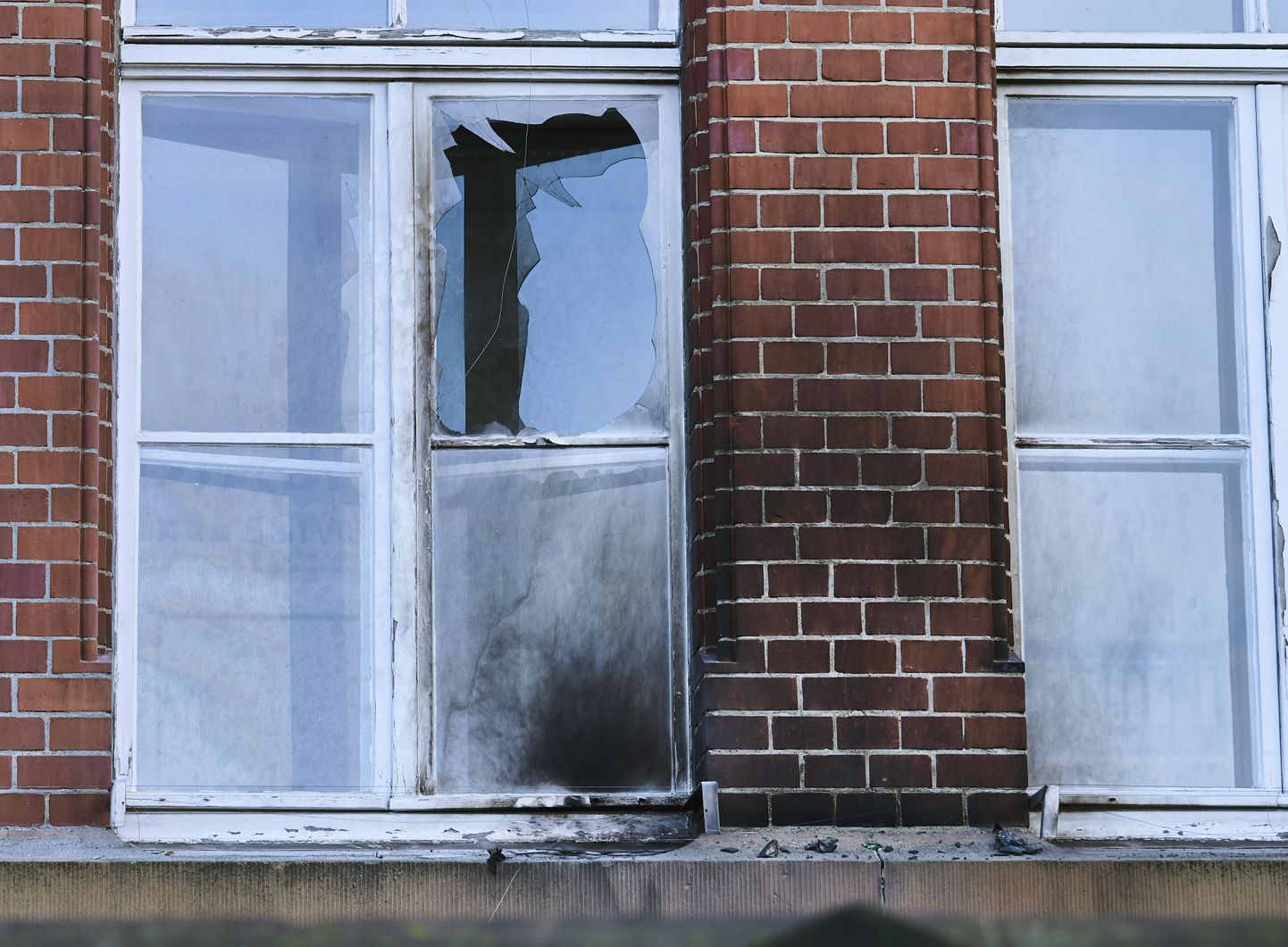Robert Kochi instituudi kahjustada saanud fassaad ja aken.