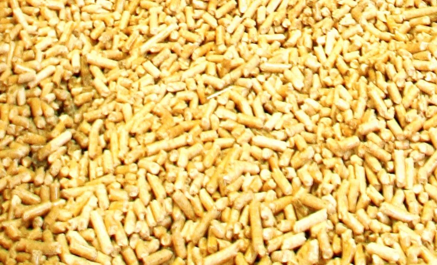 Pelletid. Foto on illustreeriv.