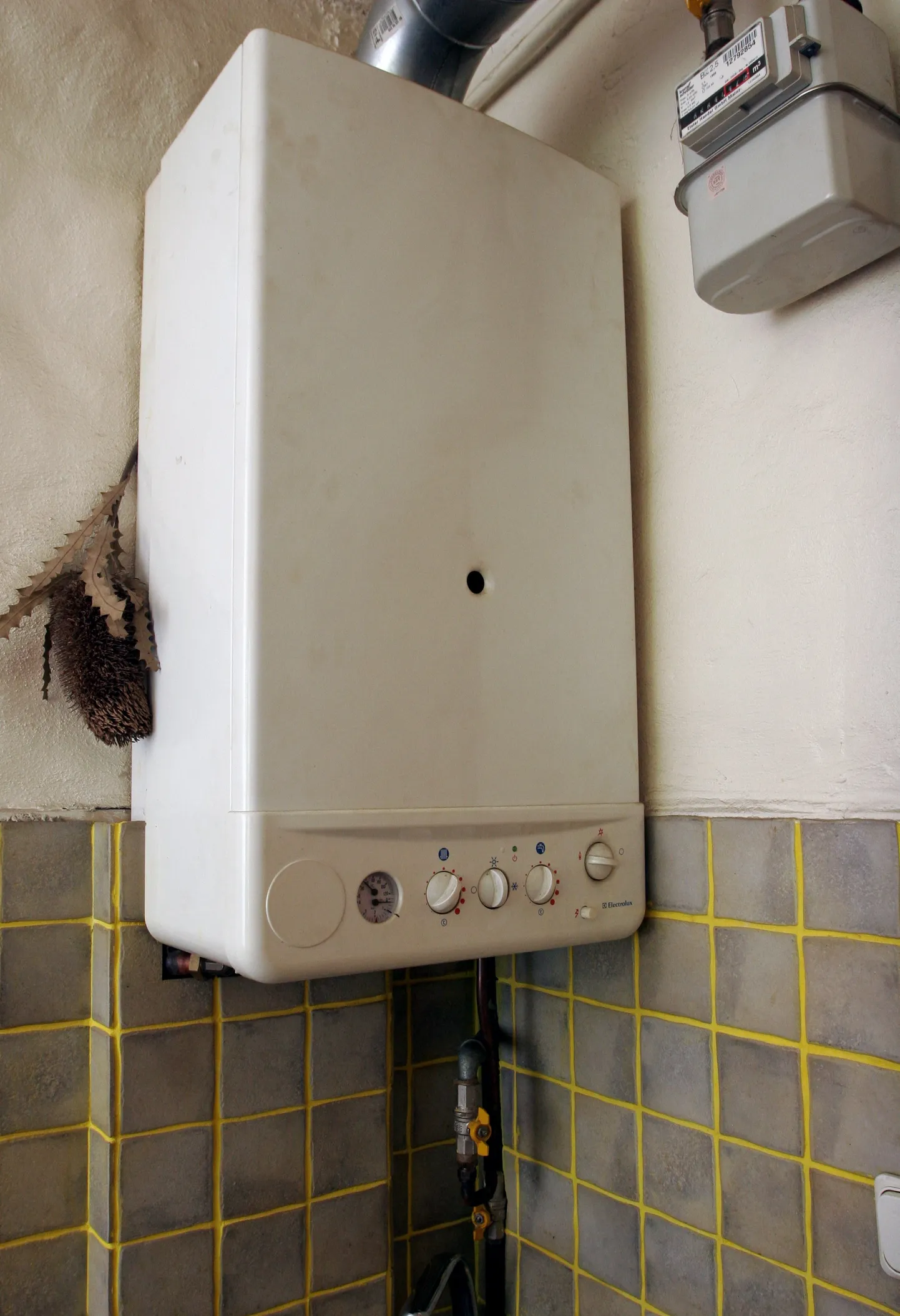 Gaasiboiler