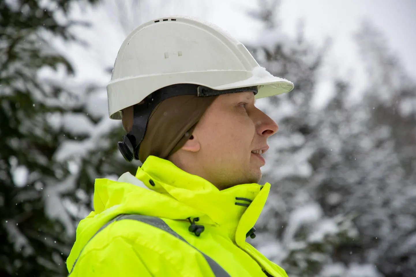 Inseneribüroo Steiger projektigeoloog Hardi Aosaar.