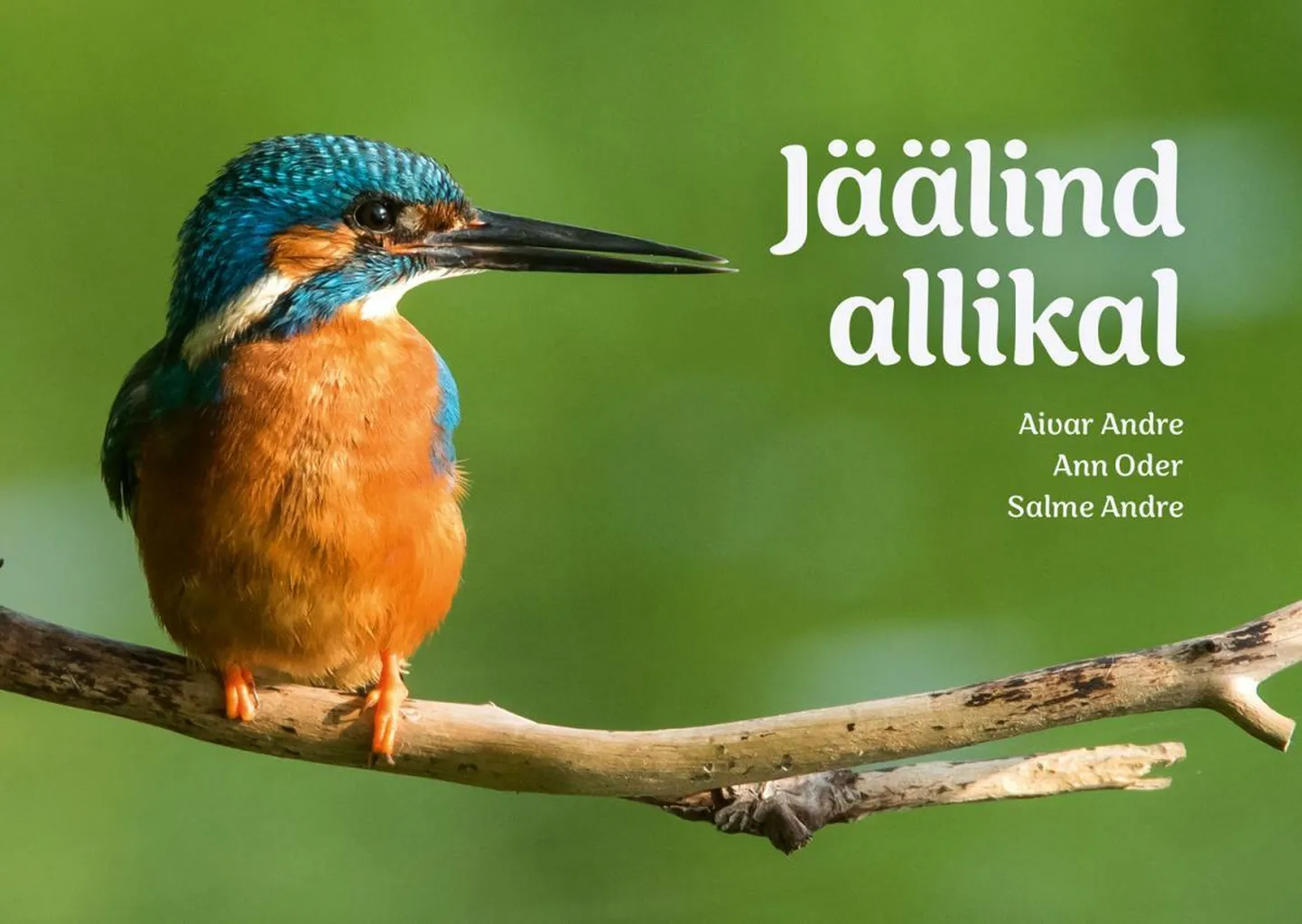 Raamatu "Jäälind allikal" esikaas