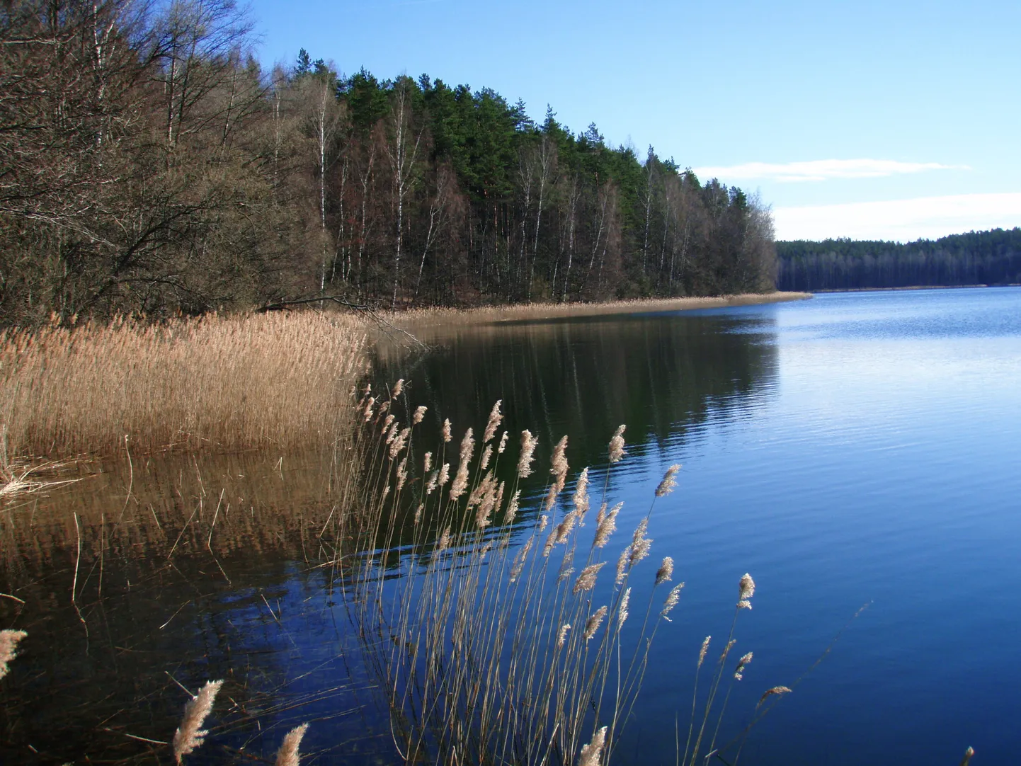 Озерный берег в Латвии. Иллюстративное фото.