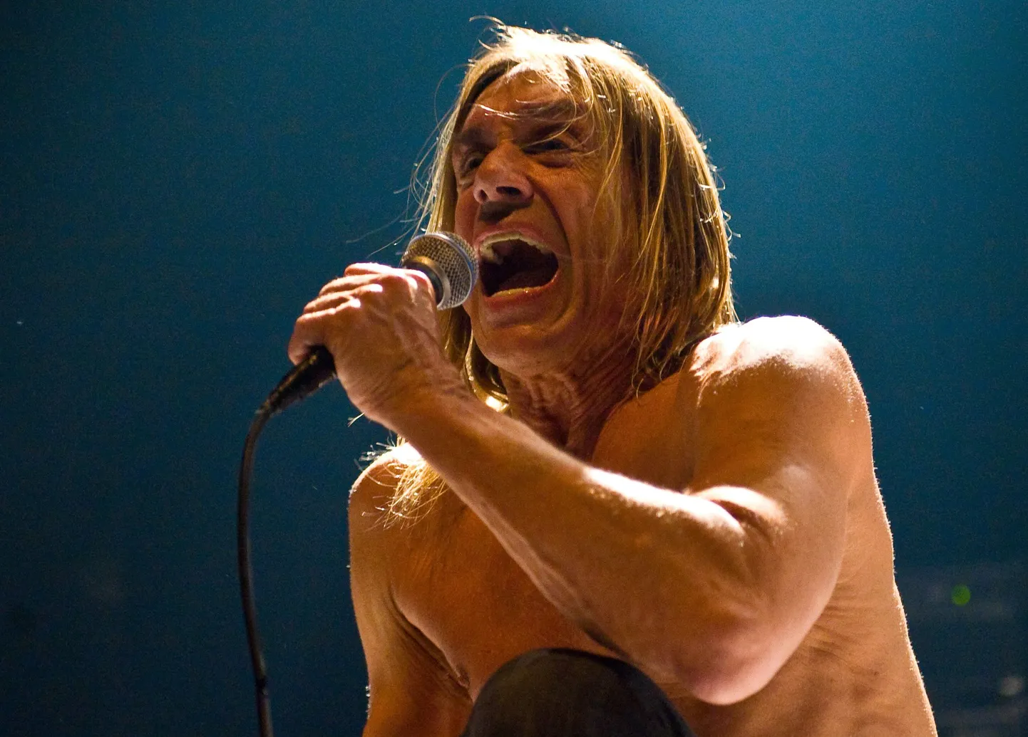 Iggy Pop