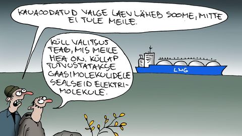 Juhtkiri ⟩ Miks Eesti üldse arvas, et Soome renditud LNG terminal meile jääb?