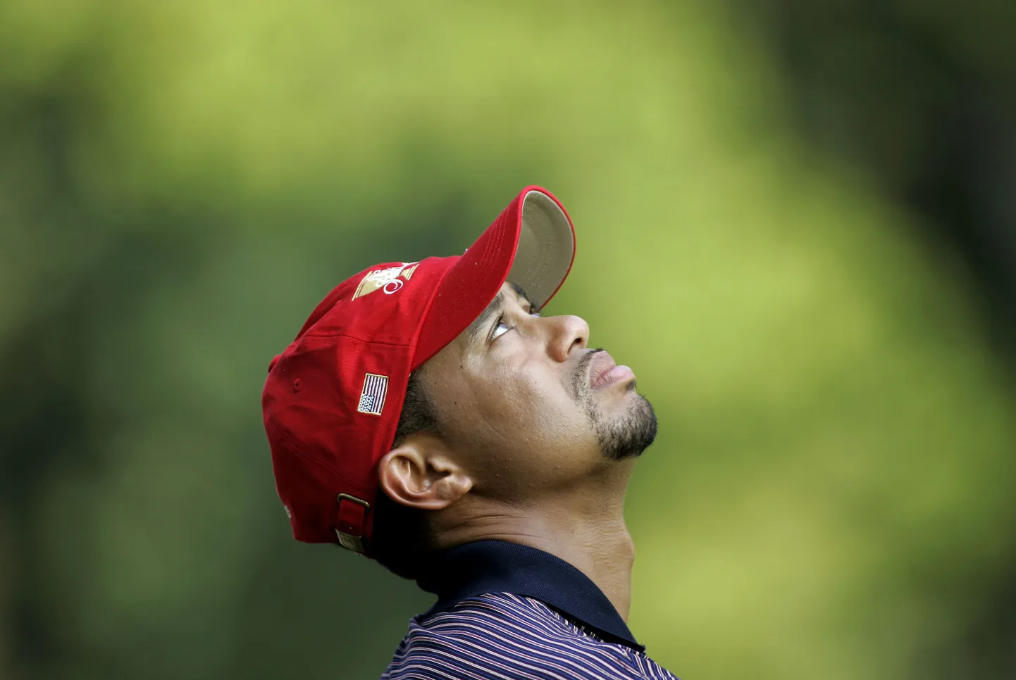 Tiger Woods