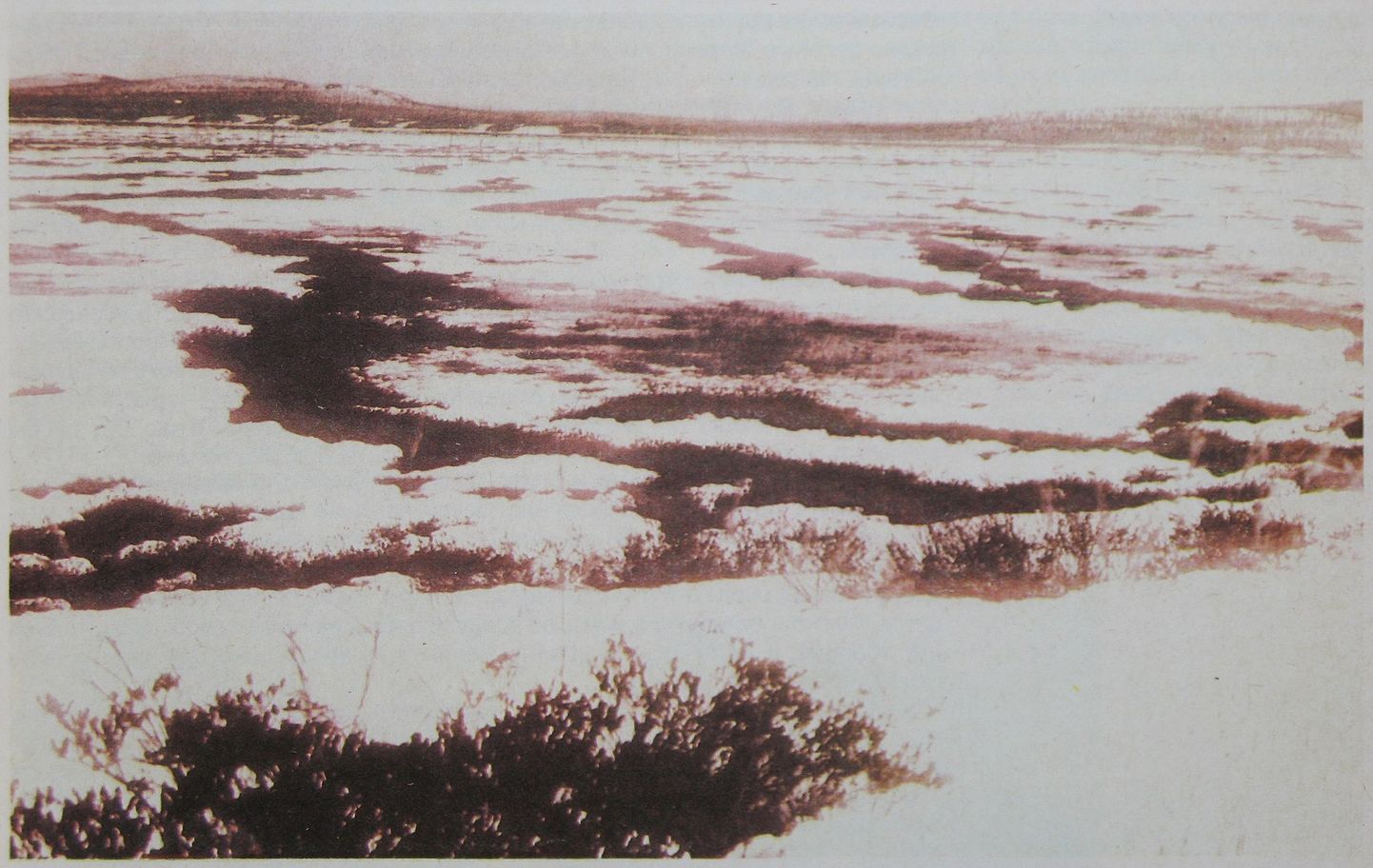 Vieta, kur Tunguskā 1908. gadā nogāzās meteorīti.
