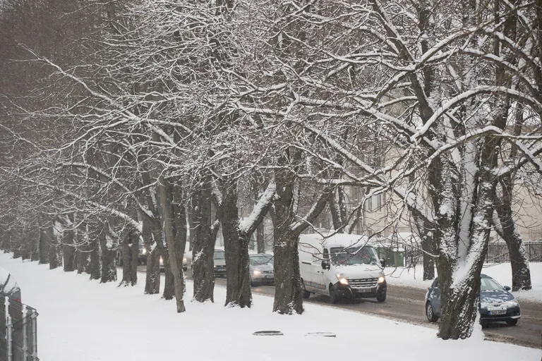 1. aprillil teatas riigi ilmateenistus, et öösel saabub Eestisse lumetorm. Peagi kattiski maad paks lumevaip. Suverehvid ja kevadjoped pidid veel natukene ootama.