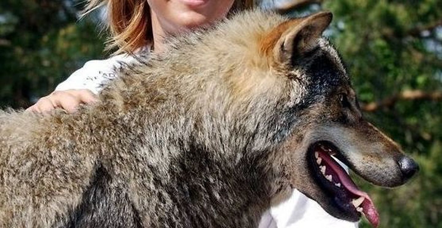 Prantslanna elab Venemaal koos huntidega
