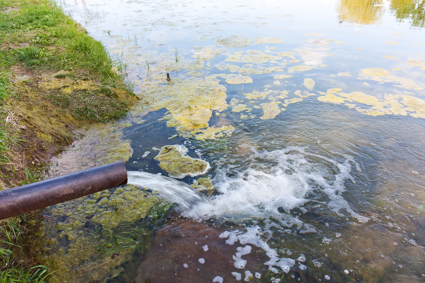Raksta foto