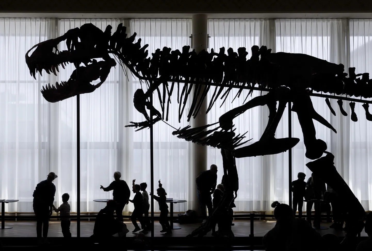 67 miljont aastat vana dinosaurus Trinity.