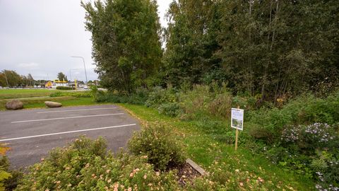 TÄPSUSTUS ⟩ Tagalakeskuse tulek Paidesse kõiki aiapidajaid siiski ei puuduta