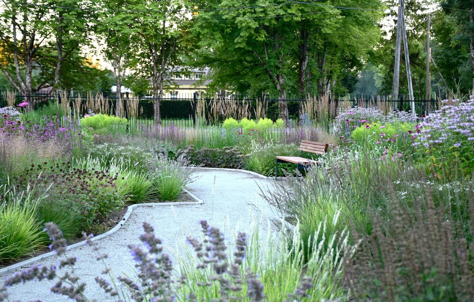 Legendaarse ringraja meenutuseks on MOMU oma aiaalal loonud ringraja stiliseeritud mudeli.

 