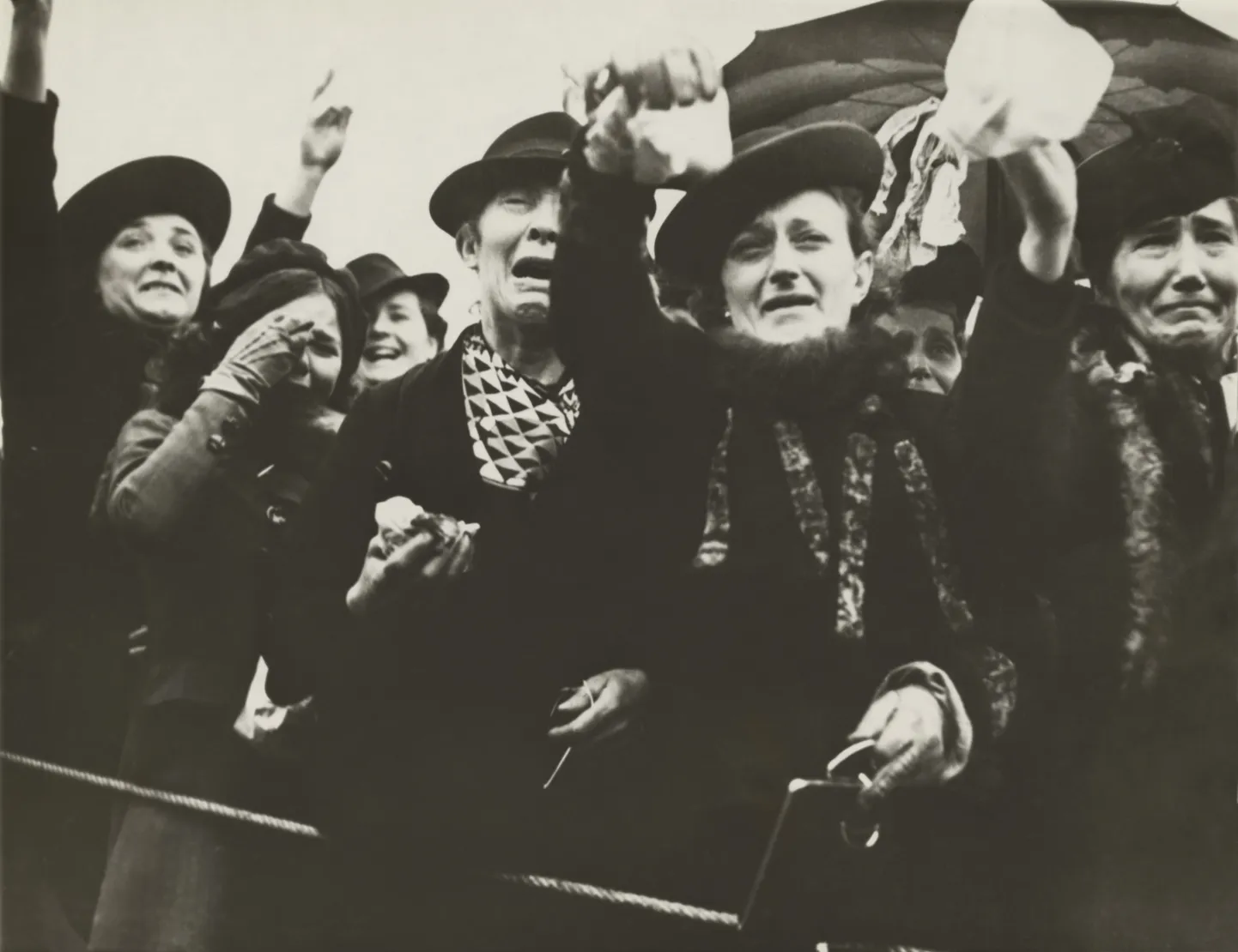 Artikli foto