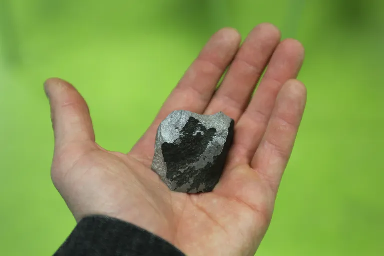 TTÜ geoloogia instituudi teaduskogu eksemplar GIT 369-284
