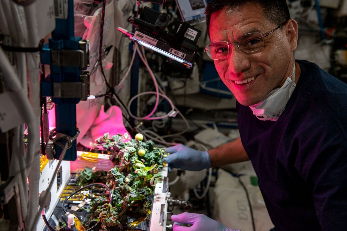 USA NASA astronaut Frank Rubio ISSil taimekasvatuslaboris. Ta kasvatas tomateid, kuid kaotas tomati, mis oli mõeldud talle. Kaheksa kuud hiljem leiti köögivili üles.