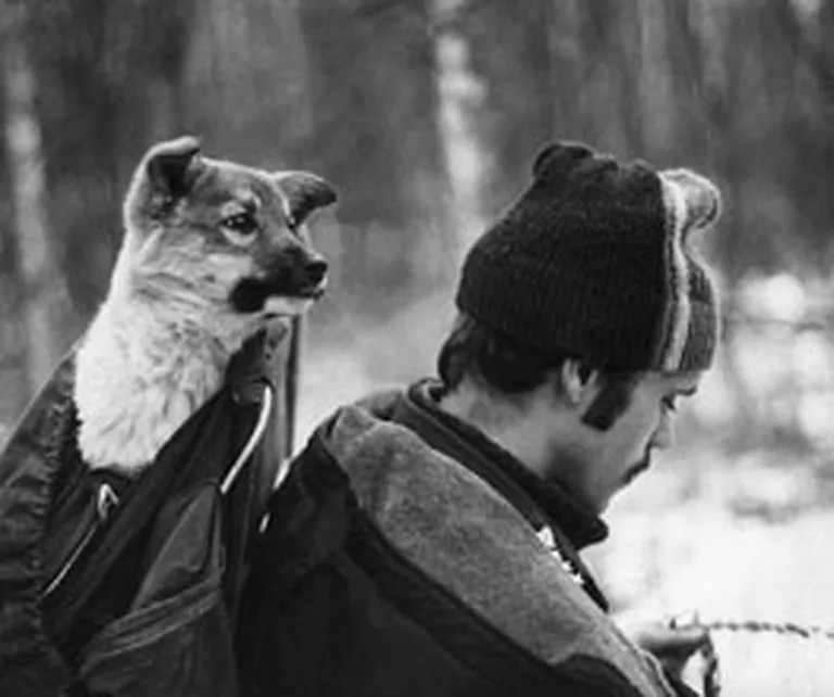 Uģa pirmais medību suns Taiga.
