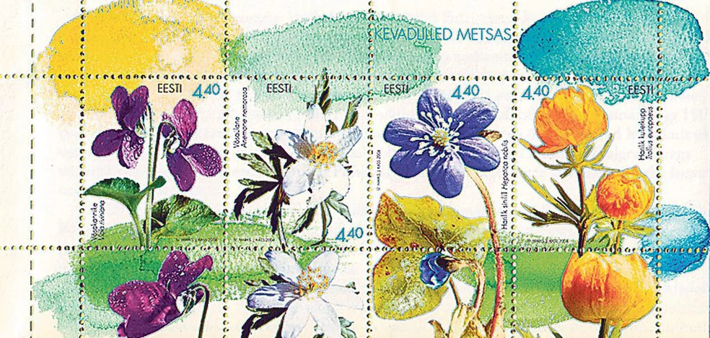 Margivihik ”Kevadlilled metsas”.