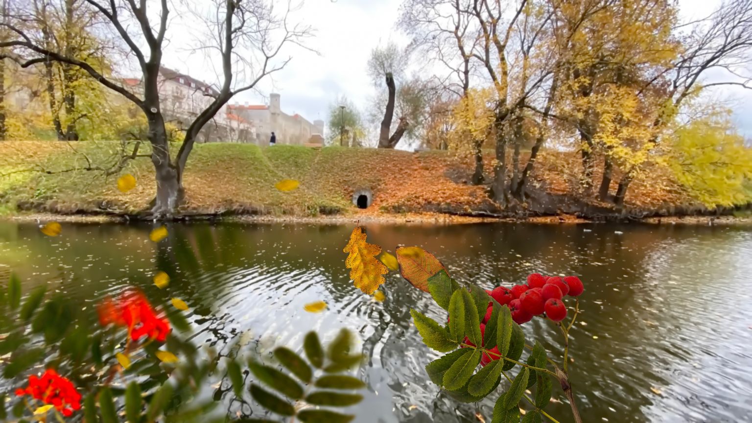Осень в Таллинне. Фото иллюстративное.