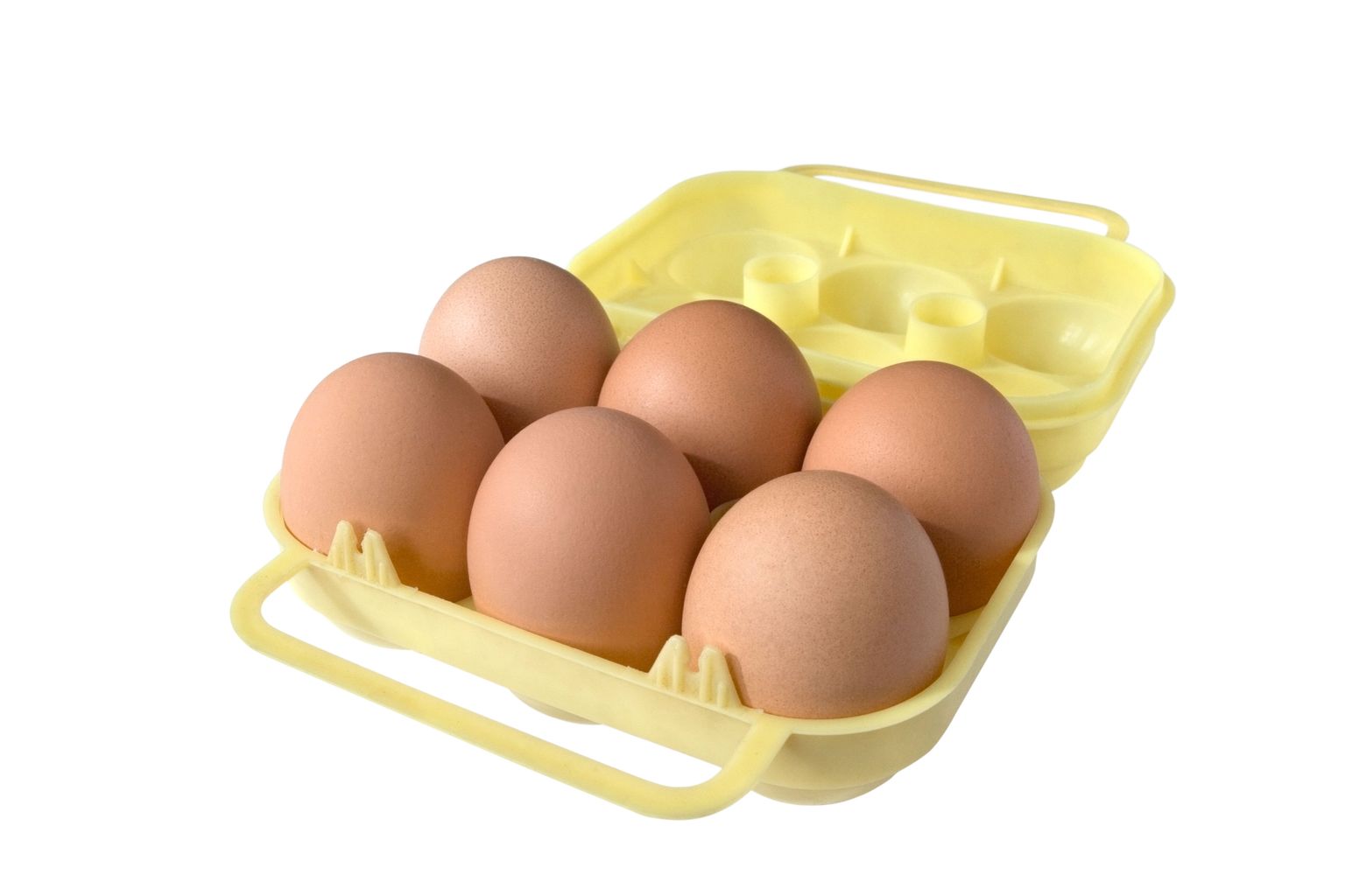 Salmonelloos levib peamiselt bakteriga saastunud mune toiduks tarvitades.