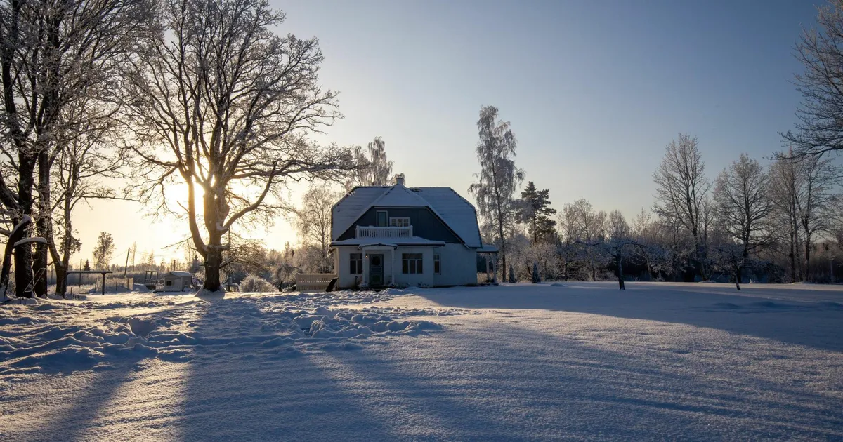 Pahuvere kodurestorani pidaja asub presidendi külalistele toitu valmistama
