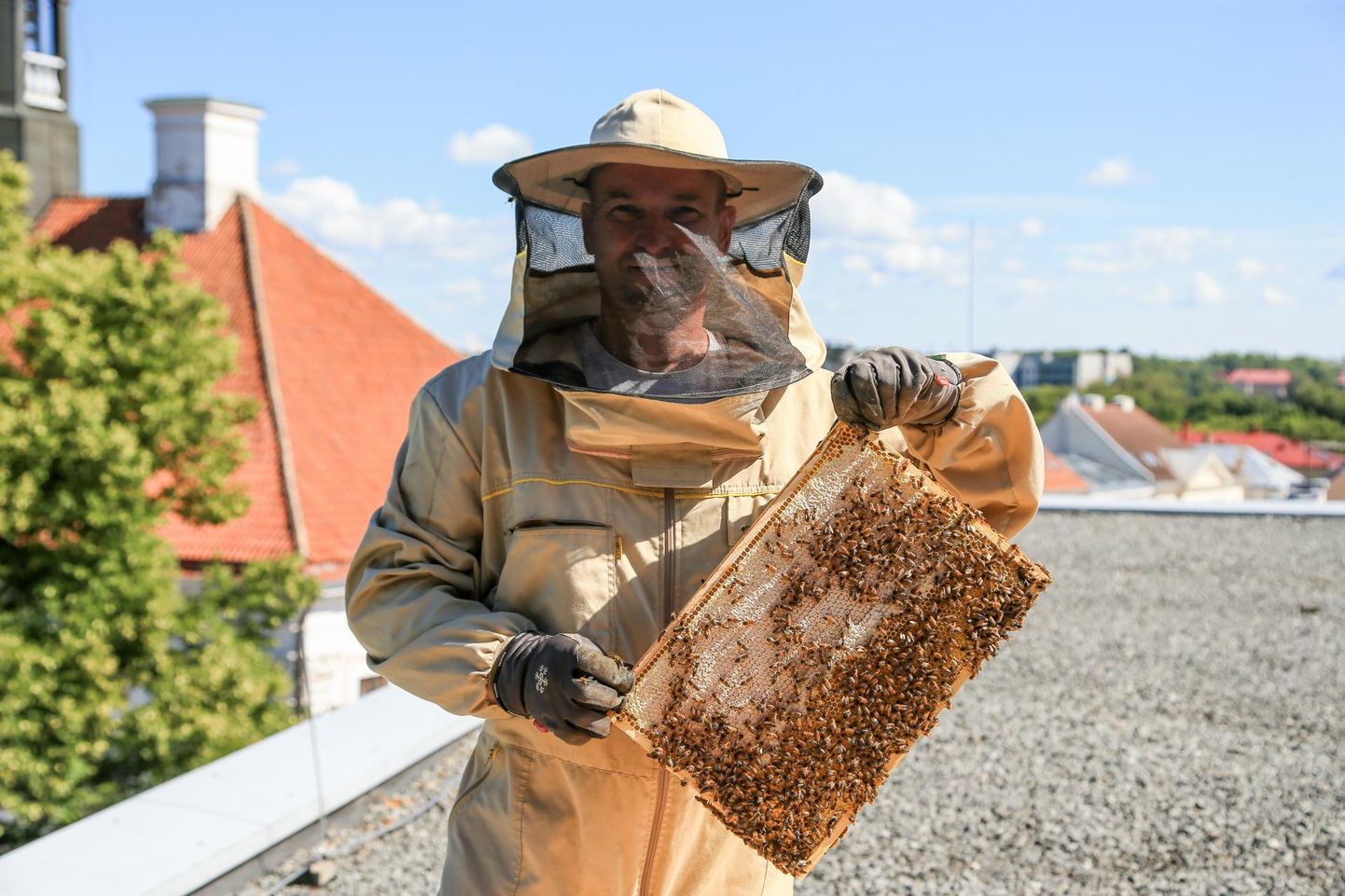Estiko grupi kommunikatsioonijuht Jaan Olmaru on Lydia hotelli mesilaste eest hoolitsenud juba viimased kaks aastat.