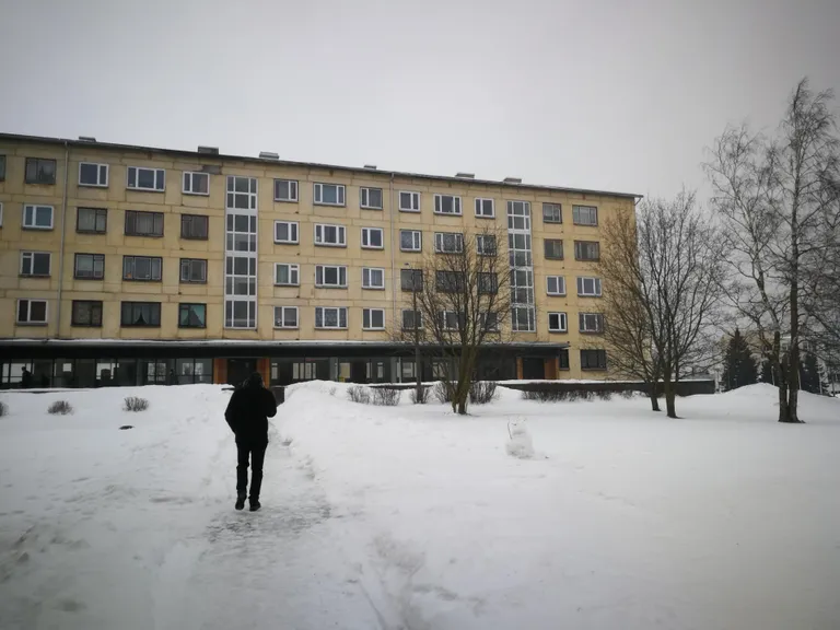 С пятого этажа этого дома выбросили на асфальт маленькую собачку Стефани.