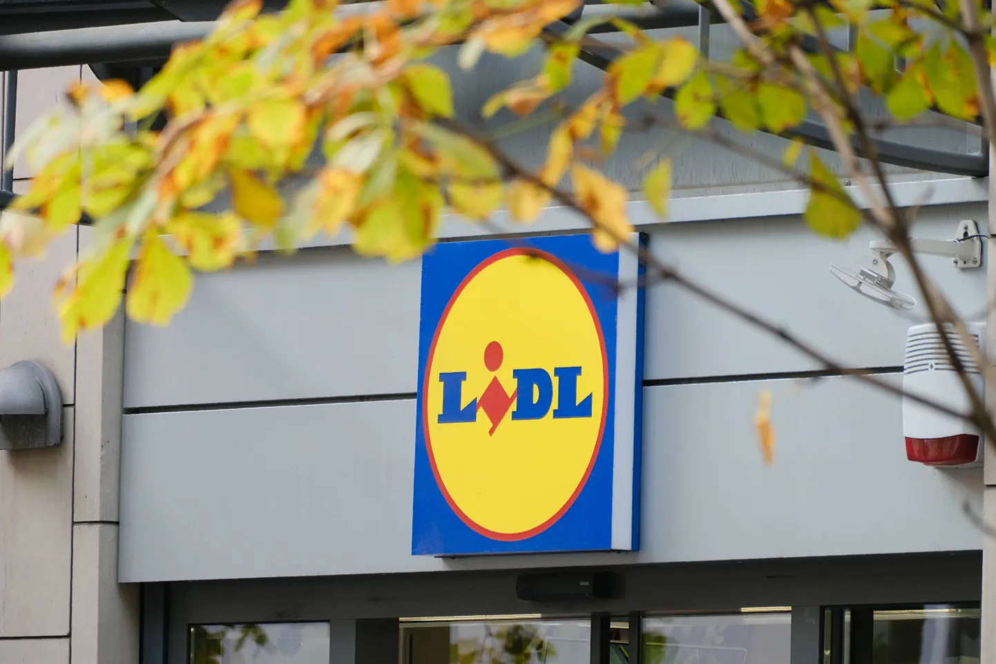 Lidl ehitab Lasnamäele uue kaupluse.