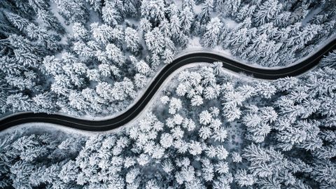 Вторник в Эстонии выдастся снежным и холодным