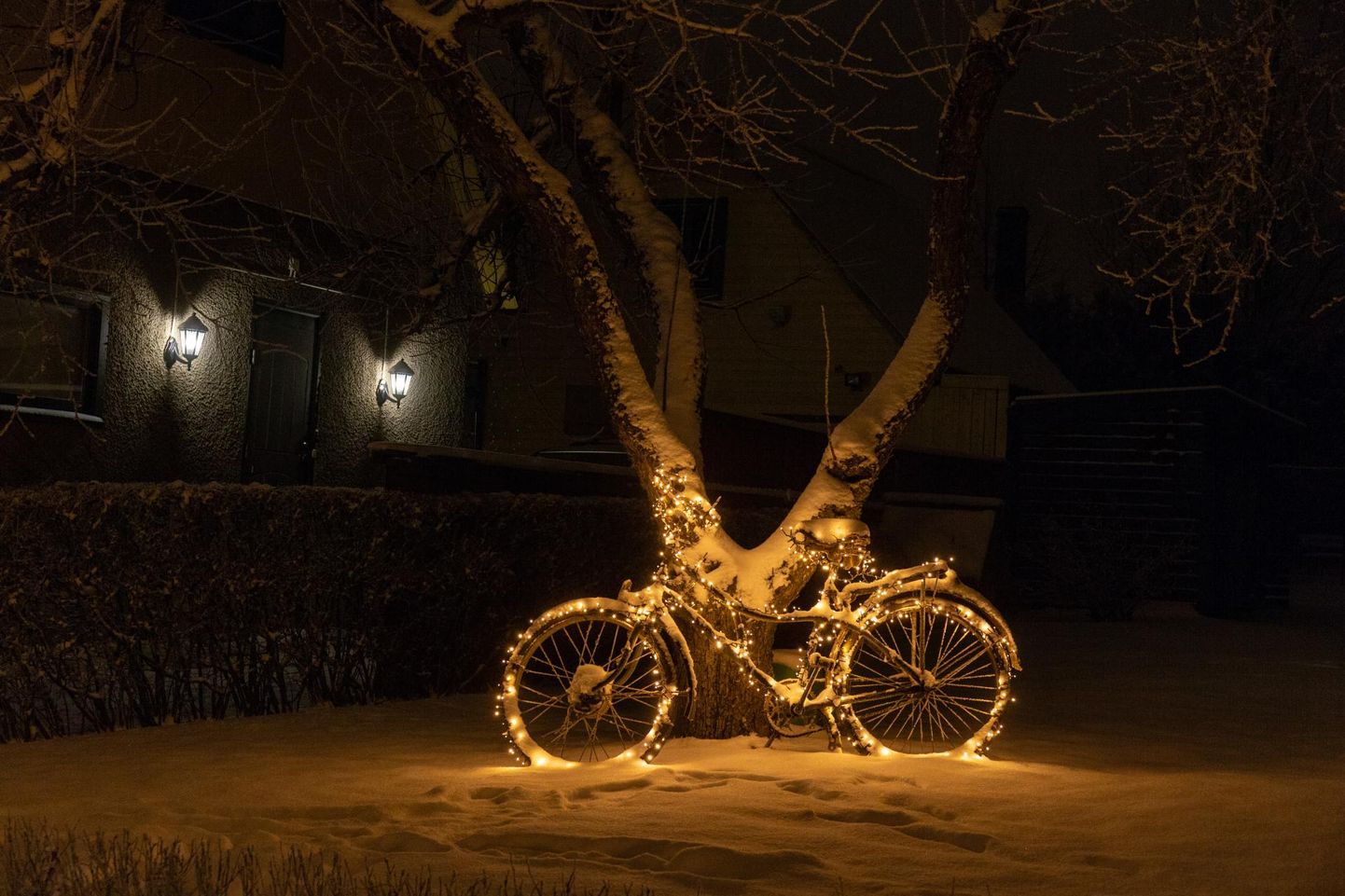 Велосипед, украшенный огоньками.