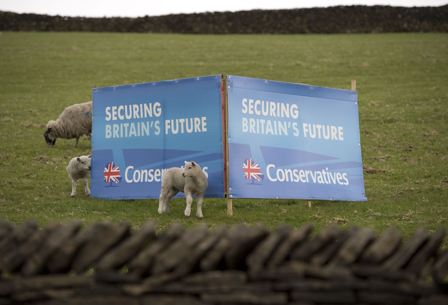 Konservatiivide plakat Põhja-Inglismaa karjamaal.