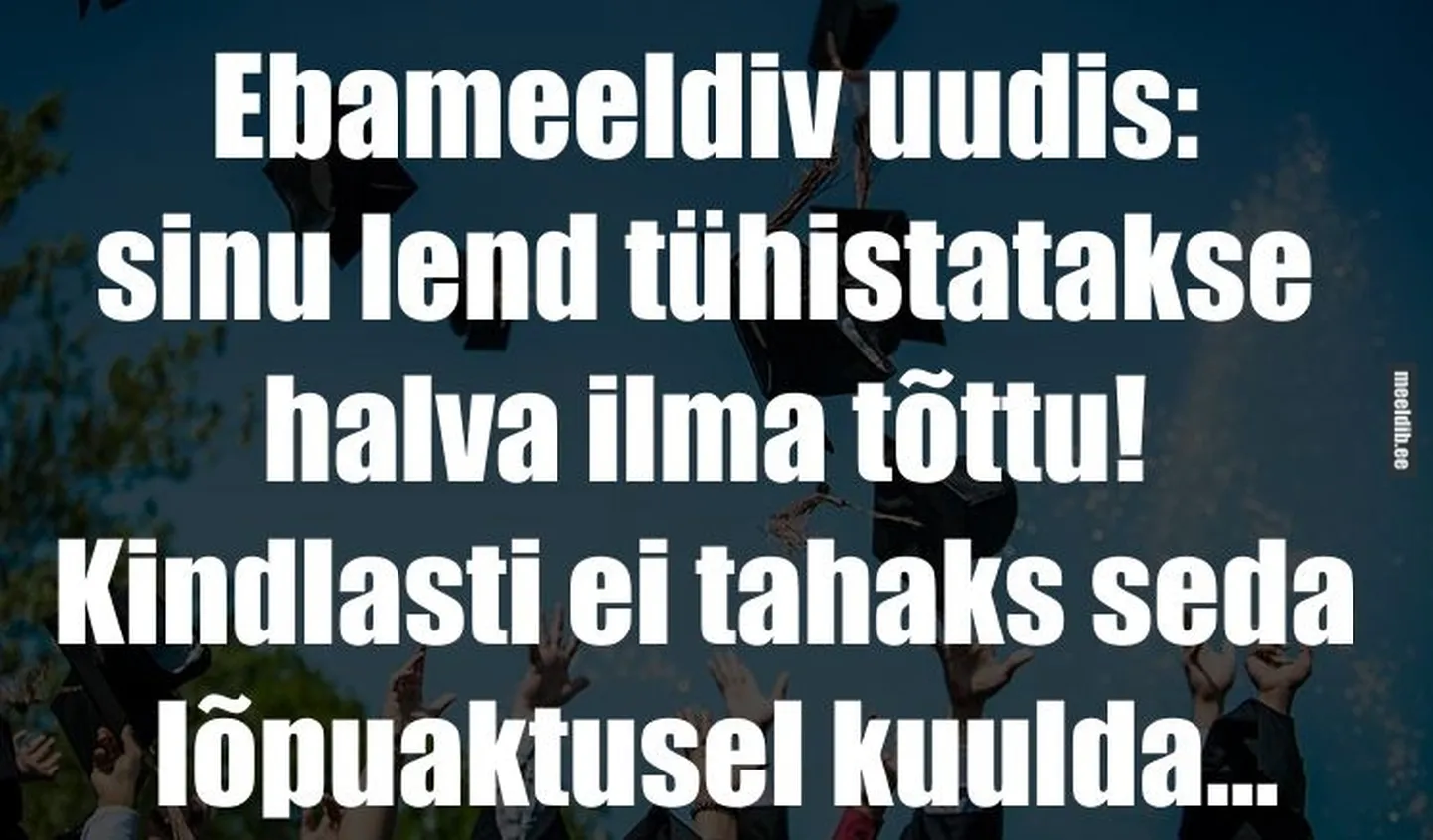 Artikli foto