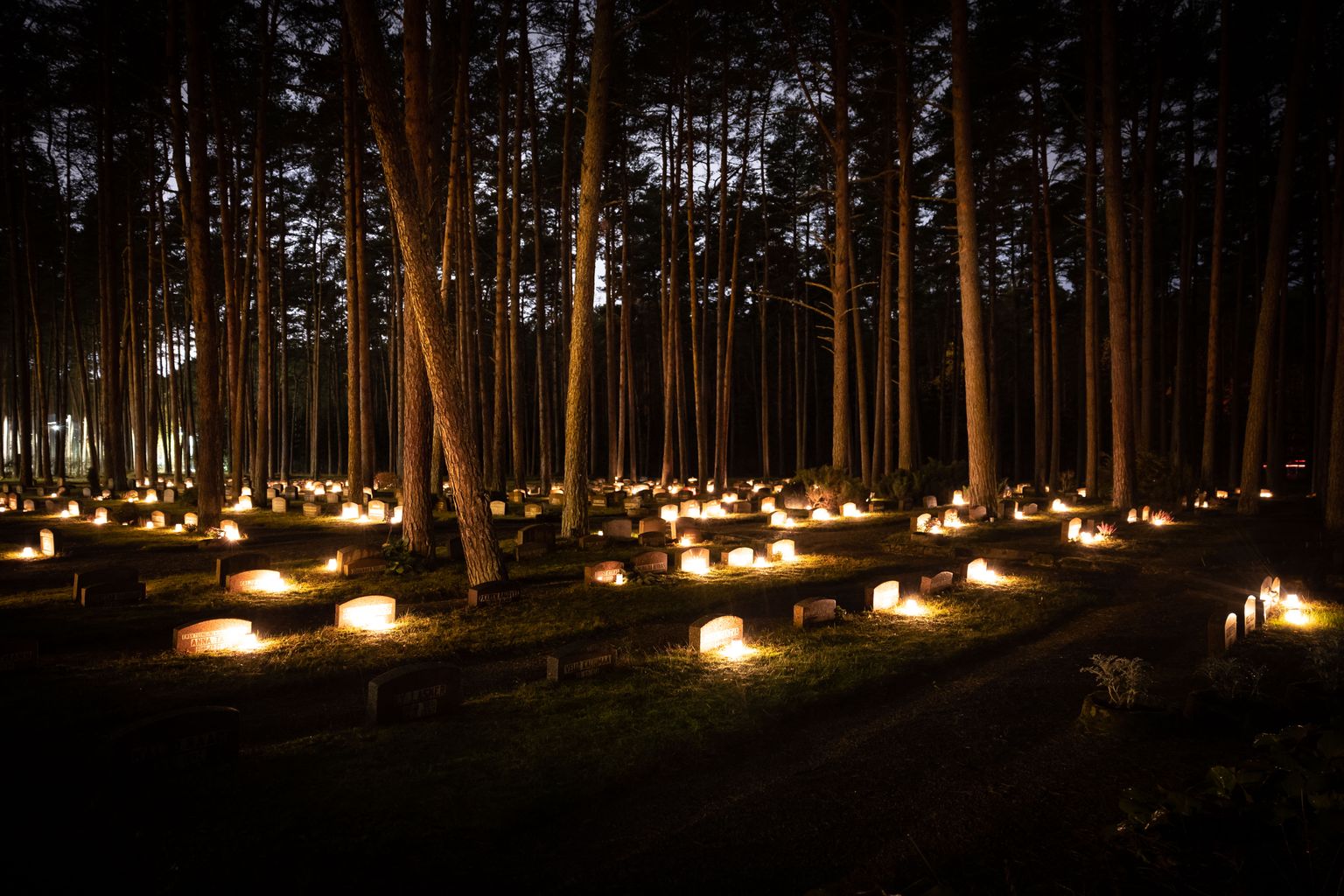 В настоящее время, по словам вирусолога Ирьи Лутсар, необходимо понять, почему избыточная смертность не начала снижаться в 2022 году, или, другими словами, почему она держится на высоком уровне. На фото таллинское кладбище Метсакальмисту.