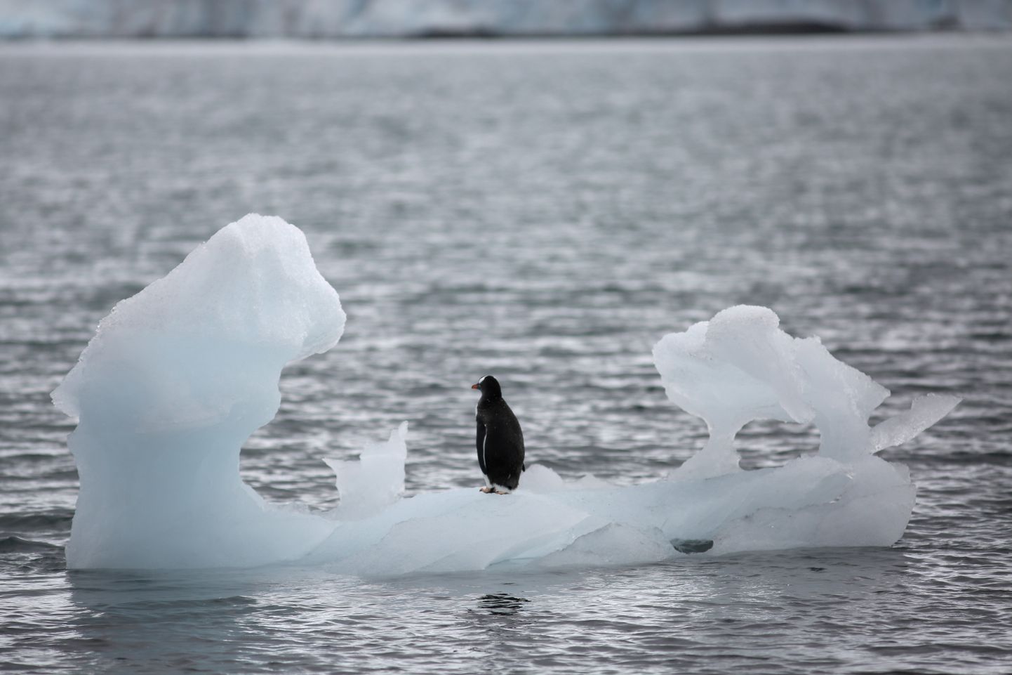Antarktika sulab kiiremini kui kunagi varem selgub ülevaateuuringust.