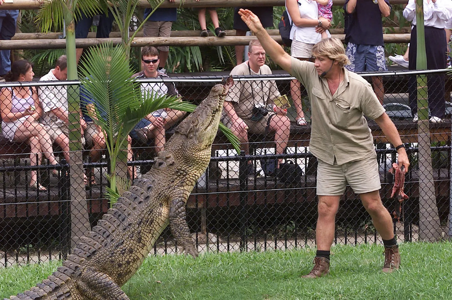 Krokodillikütt Steve Irwin