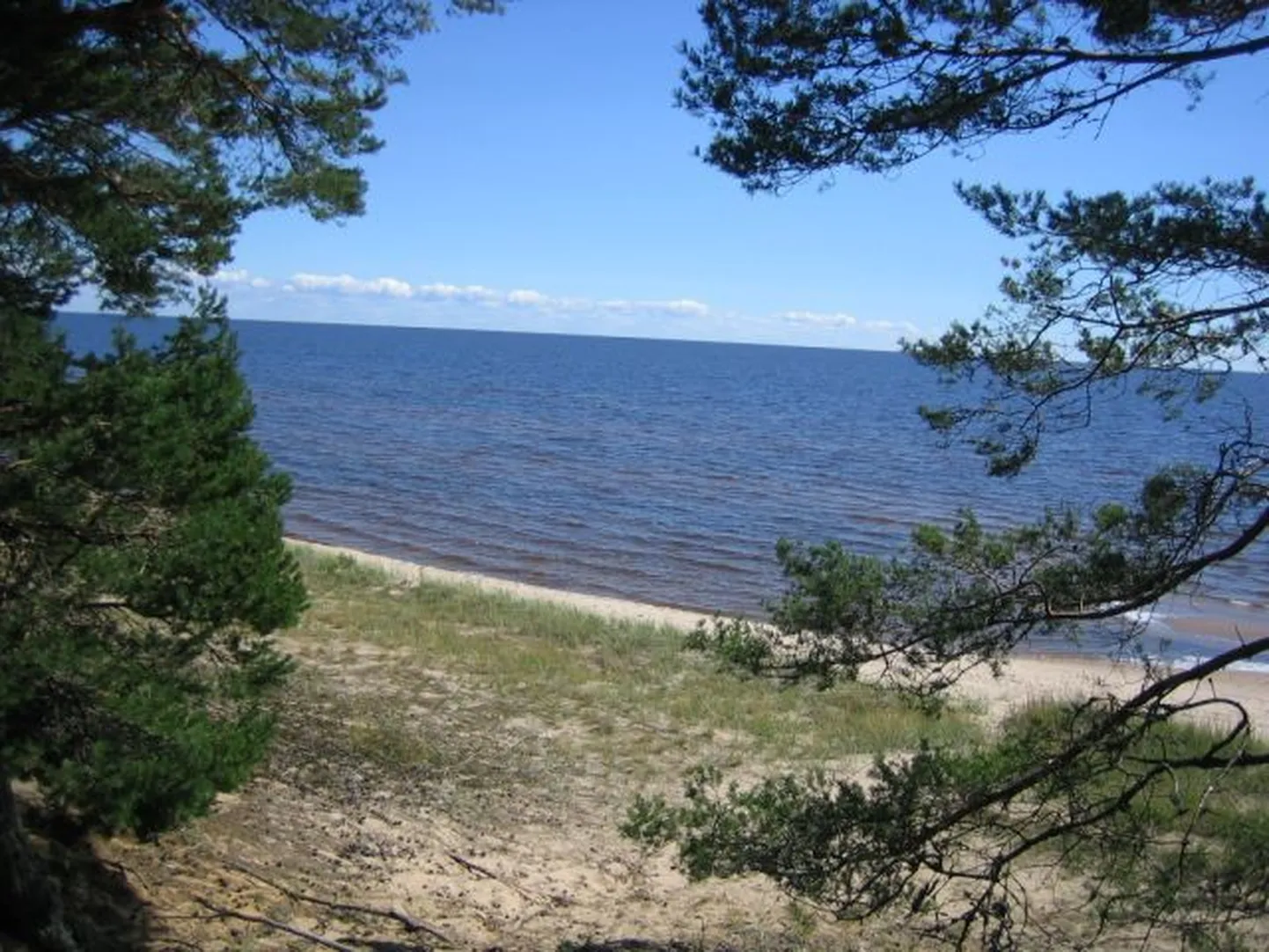 Пляж в Каукси.
