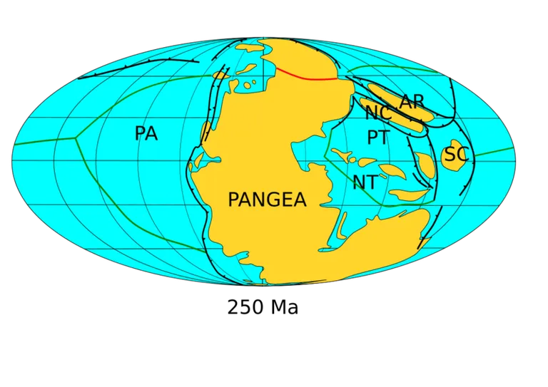 Pangeja