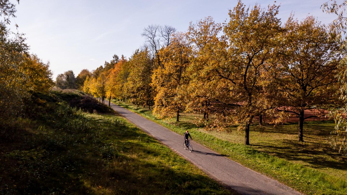 Осень в парке Кадриорг.