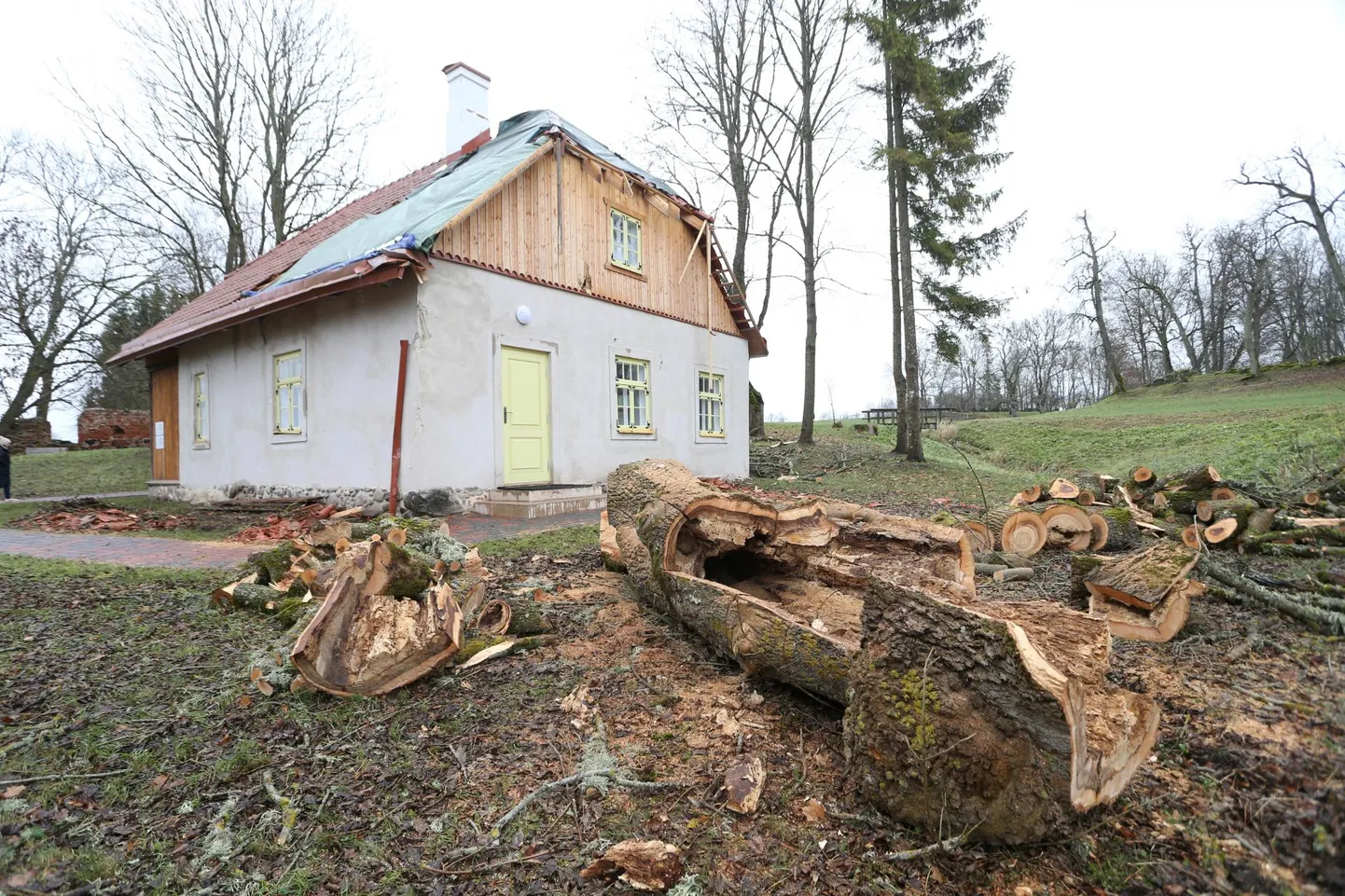 Tormiga murdunud suur puu lõhkus Nõo vallas Luke mõisapargis renoveeritud käsitöökoja katuse. Koormakattega kinni kaetud katus loodetakse kiiresti korda saada.