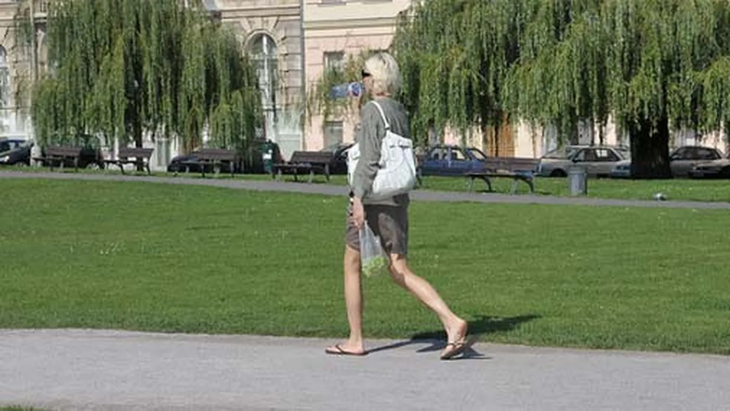 Raksta foto