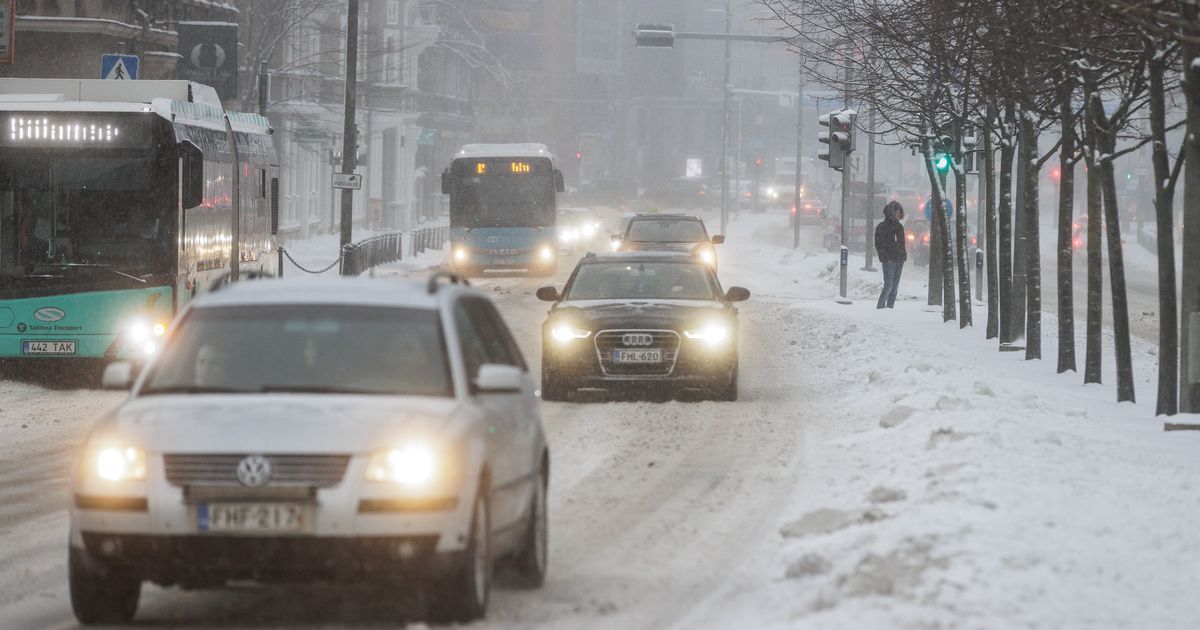 Снежные заносы. Снег на трассе. Метель прогноз. Метель на дороге. Метель прогноз.