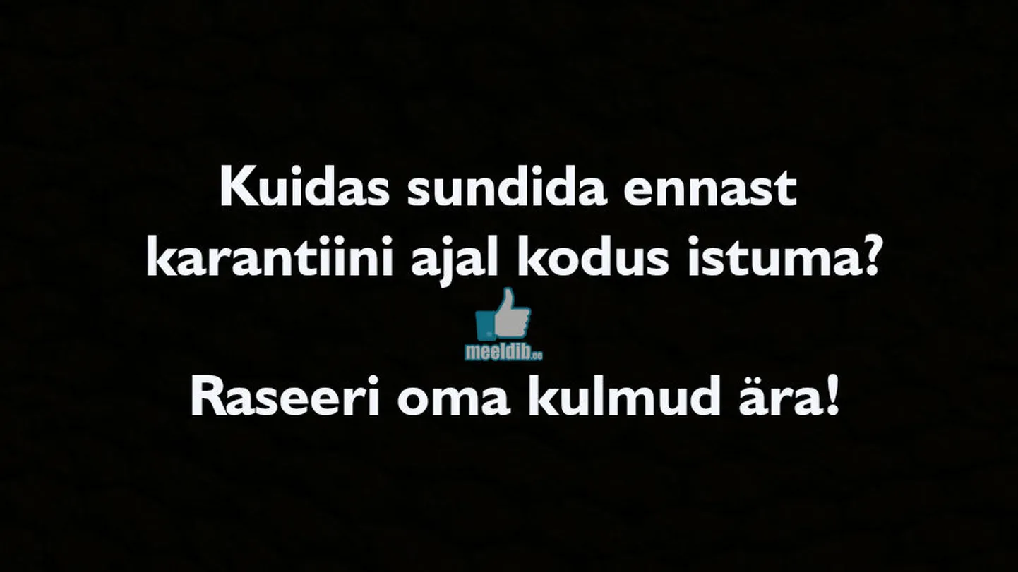 Artikli foto