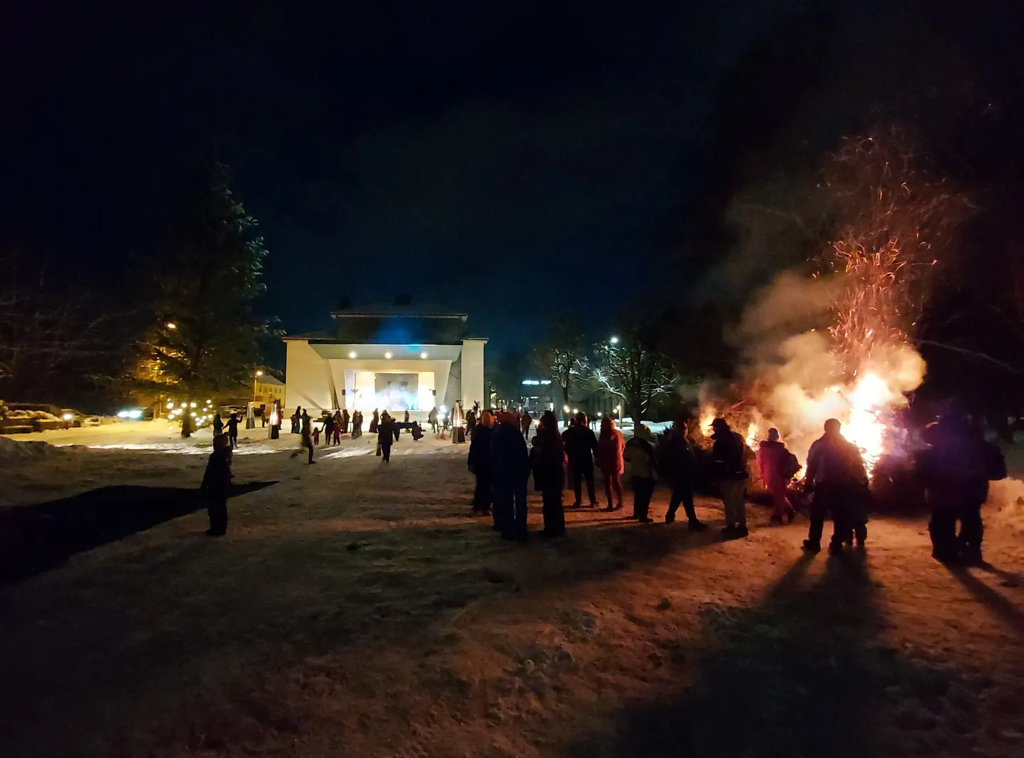 Tarvitatud jõulukuuskede põletamine. Foto on illustreeriv.